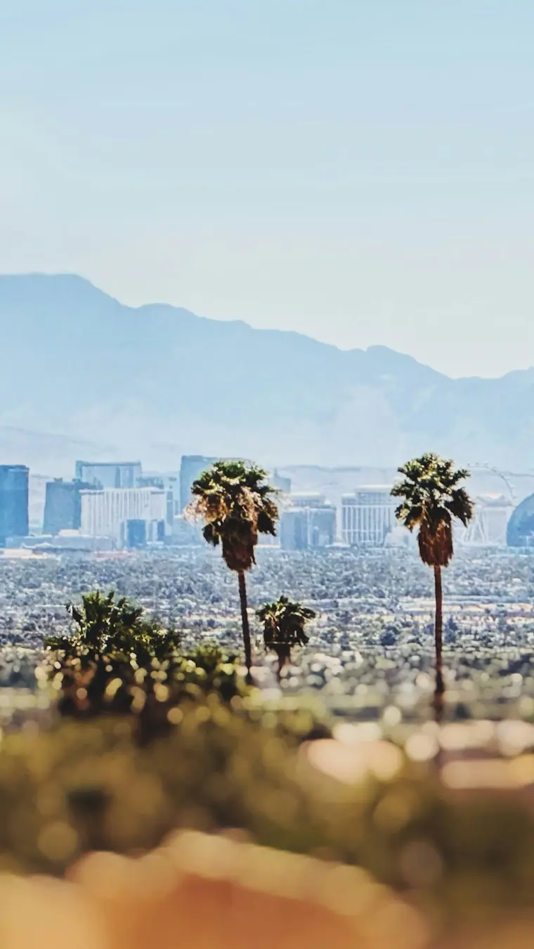 The Las Vegas skyline in a soft afternoon haze, palm trees in front and mountains behind